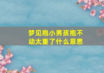 梦见抱小男孩抱不动太重了什么意思