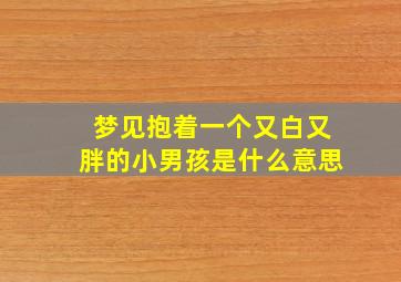 梦见抱着一个又白又胖的小男孩是什么意思