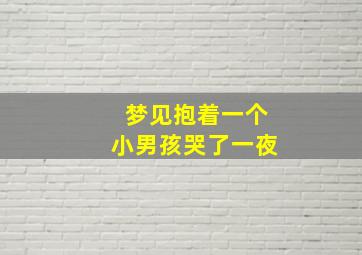 梦见抱着一个小男孩哭了一夜