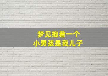 梦见抱着一个小男孩是我儿子