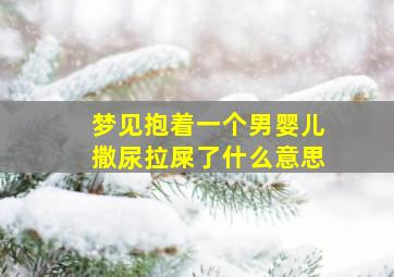 梦见抱着一个男婴儿撒尿拉屎了什么意思