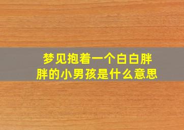 梦见抱着一个白白胖胖的小男孩是什么意思