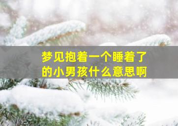 梦见抱着一个睡着了的小男孩什么意思啊