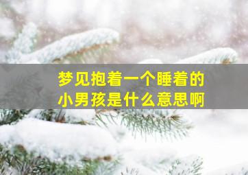 梦见抱着一个睡着的小男孩是什么意思啊