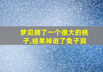 梦见摘了一个很大的桃子,结果掉进了兔子洞