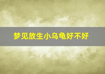 梦见放生小乌龟好不好