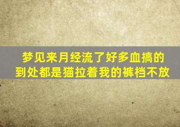 梦见来月经流了好多血搞的到处都是猫拉着我的裤档不放