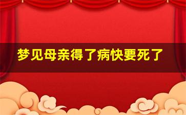 梦见母亲得了病快要死了