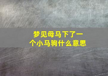 梦见母马下了一个小马驹什么意思