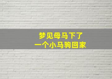 梦见母马下了一个小马驹回家