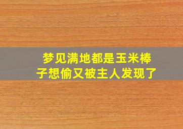 梦见满地都是玉米棒子想偷又被主人发现了