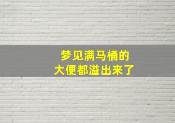 梦见满马桶的大便都溢出来了