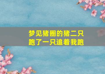 梦见猪圈的猪二只跑了一只追着我跑