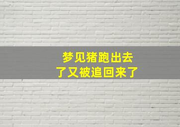 梦见猪跑出去了又被追回来了