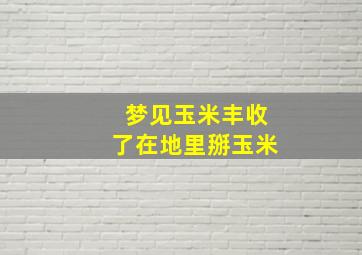 梦见玉米丰收了在地里掰玉米