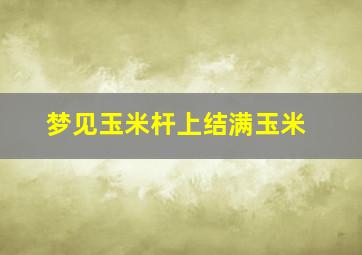 梦见玉米杆上结满玉米