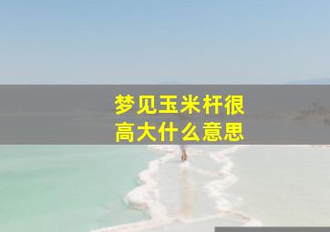 梦见玉米杆很高大什么意思