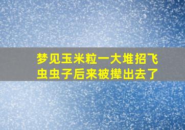 梦见玉米粒一大堆招飞虫虫子后来被撵出去了