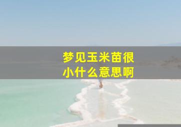 梦见玉米苗很小什么意思啊