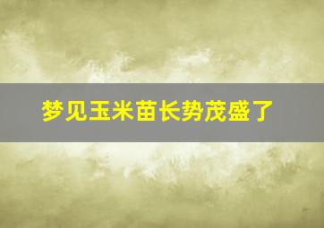 梦见玉米苗长势茂盛了