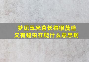 梦见玉米苗长得很茂盛又有蝗虫在爬什么意思啊