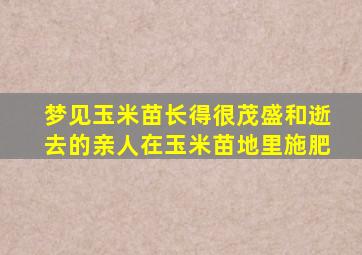 梦见玉米苗长得很茂盛和逝去的亲人在玉米苗地里施肥