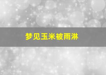 梦见玉米被雨淋