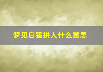 梦见白猪拱人什么意思