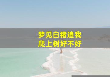 梦见白猪追我爬上树好不好