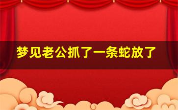 梦见老公抓了一条蛇放了