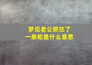 梦见老公抓住了一条蛇是什么意思