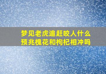 梦见老虎追赶咬人什么预兆槐花和枸杞相冲吗