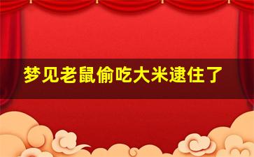 梦见老鼠偷吃大米逮住了