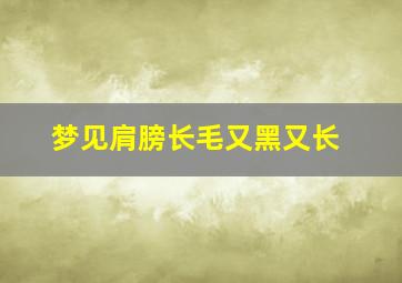 梦见肩膀长毛又黑又长