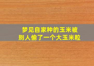 梦见自家种的玉米被别人偷了一个大玉米粒