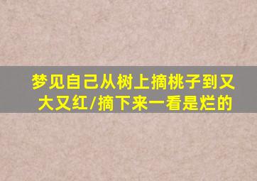 梦见自己从树上摘桃子到又大又红/摘下来一看是烂的