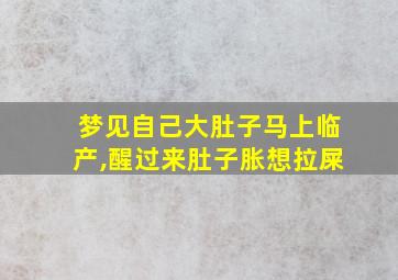 梦见自己大肚子马上临产,醒过来肚子胀想拉屎