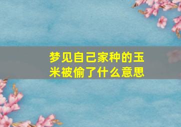 梦见自己家种的玉米被偷了什么意思