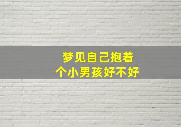 梦见自己抱着个小男孩好不好