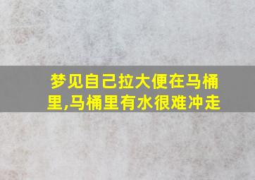 梦见自己拉大便在马桶里,马桶里有水很难冲走