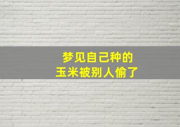 梦见自己种的玉米被别人偷了