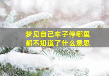 梦见自己车子停哪里都不知道了什么意思