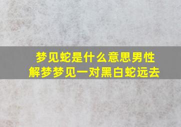 梦见蛇是什么意思男性解梦梦见一对黑白蛇远去