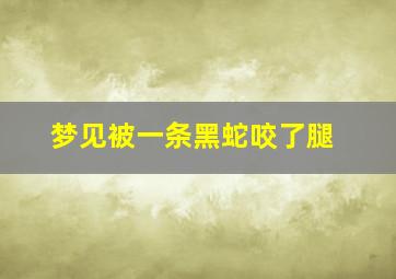 梦见被一条黑蛇咬了腿