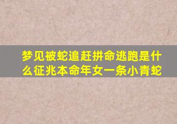 梦见被蛇追赶拼命逃跑是什么征兆本命年女一条小青蛇