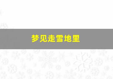 梦见走雪地里