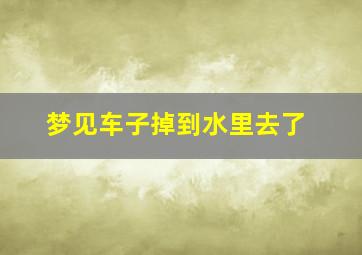 梦见车子掉到水里去了