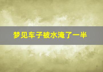 梦见车子被水淹了一半