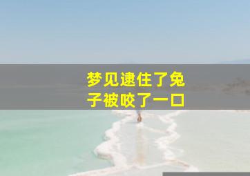 梦见逮住了兔子被咬了一口