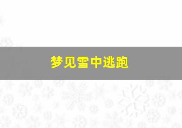 梦见雪中逃跑